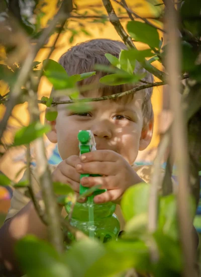 Dziecko o jasnobrązowych włosach wygląda zza gałęzi drzewa, trzymając zieloną butelkę ze spryskiwaczem. Tło jest rozmyte odcieniami żółtego i niebieskiego, co sugeruje słoneczny dzień. Dziecko wydaje się skupione i skupione na swoim zadaniu.