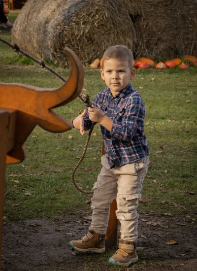 Młody chłopiec w kraciastej koszuli i spodniach cargo trzyma linę, stojąc twarzą do drewnianego wycięcia byka. Za nim znajdują się bele siana i porozrzucane dynie na trawie, co sugeruje jesienne lub żniwne otoczenie.